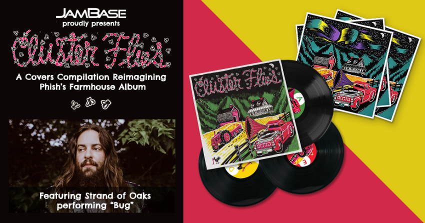 Cluster Flies - Song Articles - v005 - Strand of Oaks