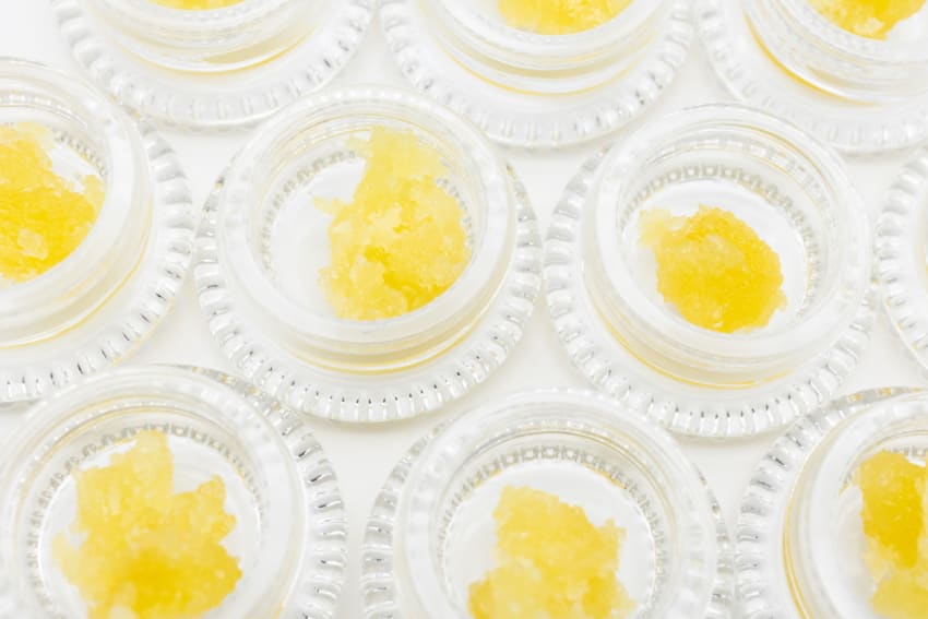 Mellow-Fellow-concentrate