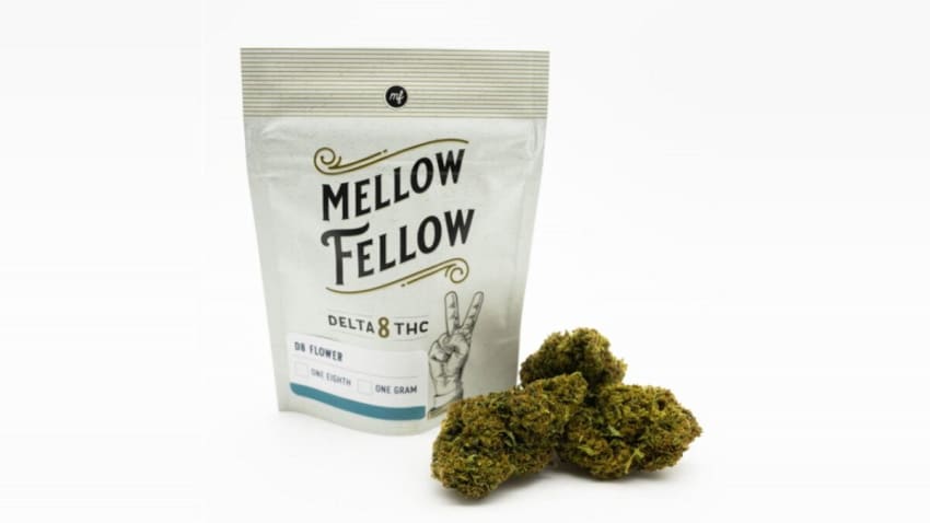 Stay Mellow: Get 10% Off Mellow Fellow Cannabis