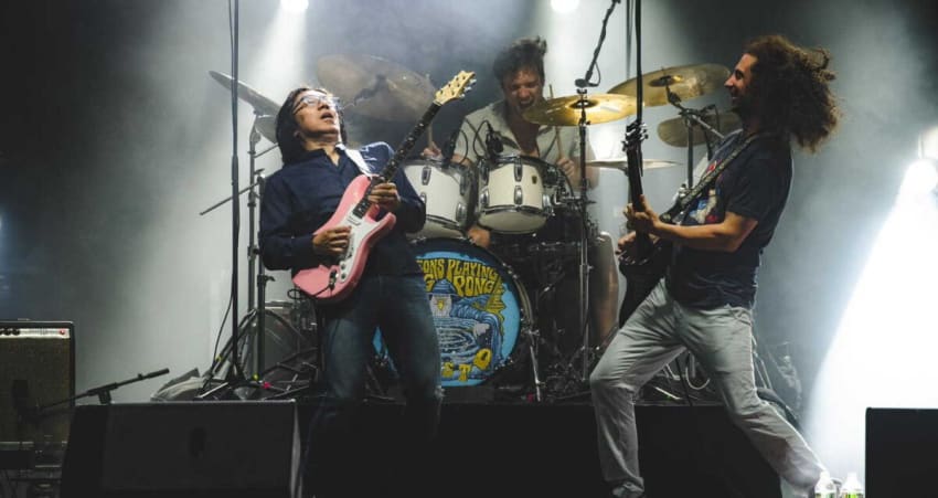 Pigeons Playing Ping Pong Tomo Fujita New Hampshire Video