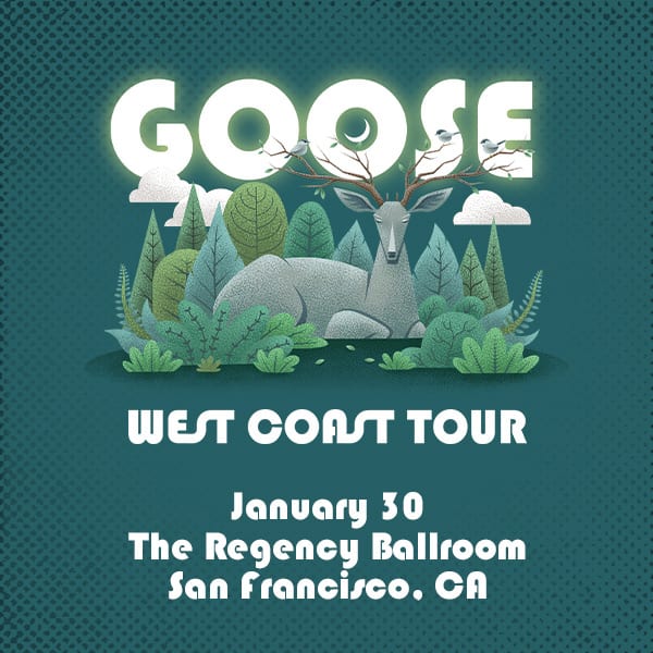 Goose