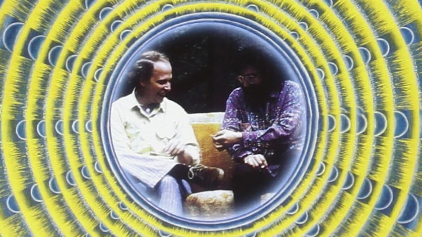 Jerry Garcia - Days Between Companions: Howard Wales