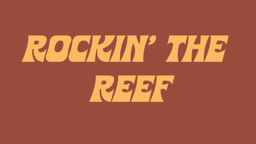 Rockin’ The Reef