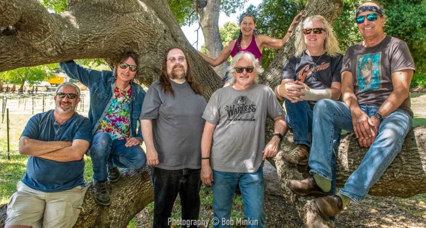 Dark Star Orchestra Press October 2021 Minkin
