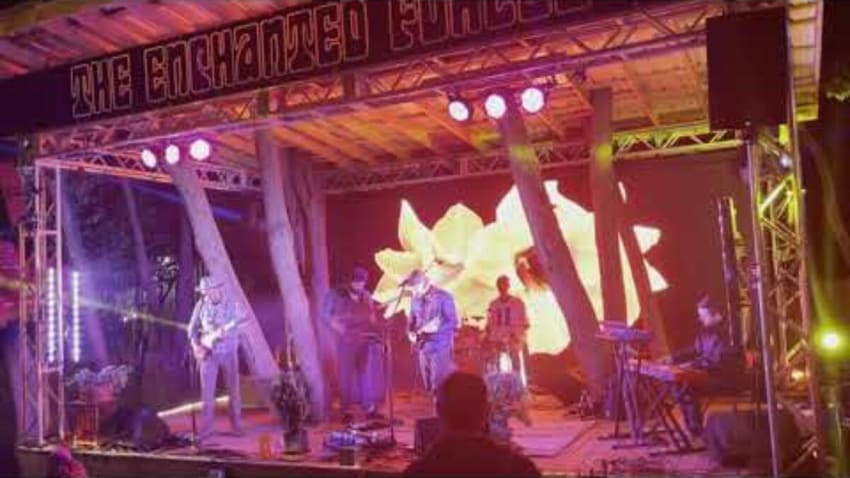 Houseplant - Enchanted Forest - 10/16/21 - SET 1