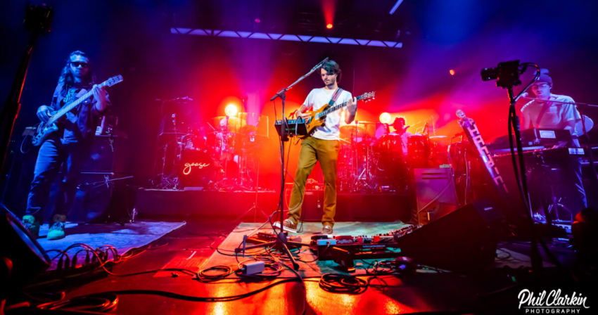 Goose Clarkin 2021 006