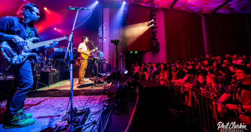 Goose Clarkin 2021 007