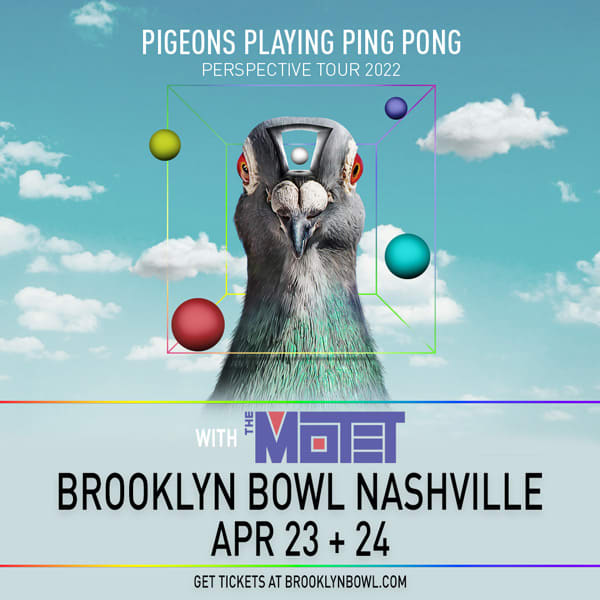 Pigeons Playing Ping Pong