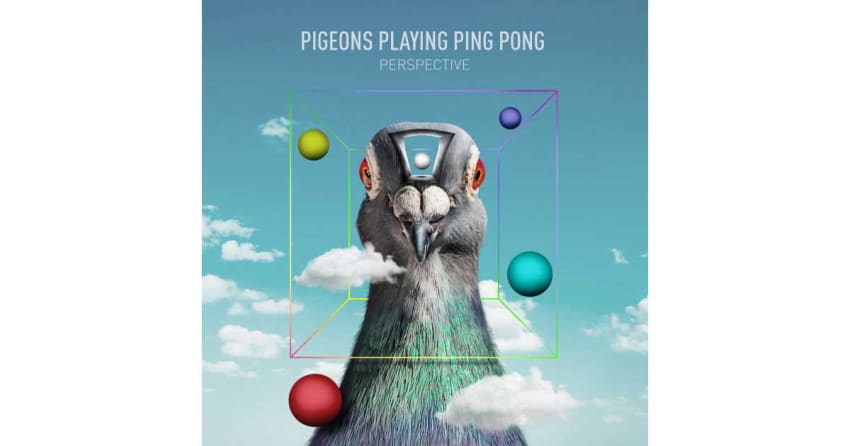 Pigeons Playing Ping Pong Perspective Cover Art