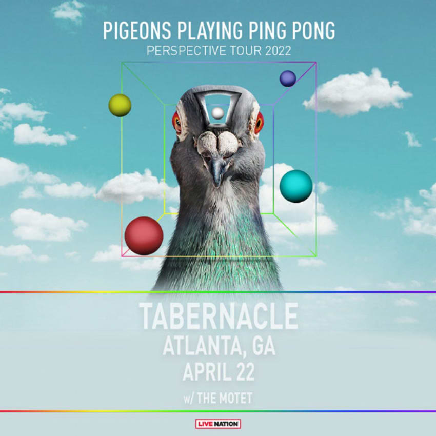 Pigeons Playing Ping Pong