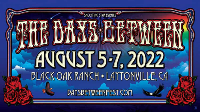 Days Between Festival 2022 Logo