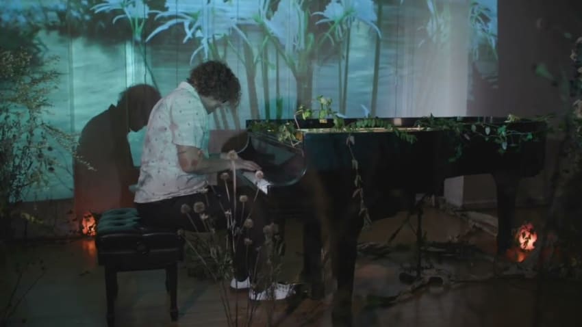 Phil Cook - Queen of Branches (Live Performance)