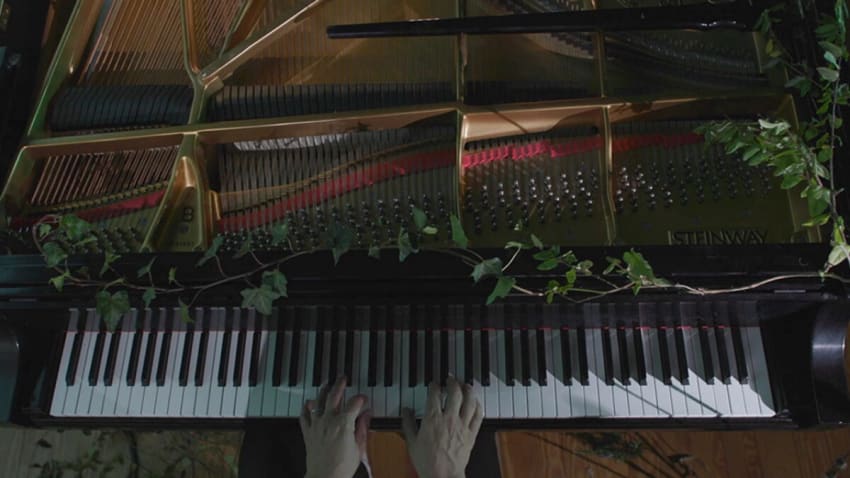 Watch Phil Cook Perform ‘Queen Of Branches’