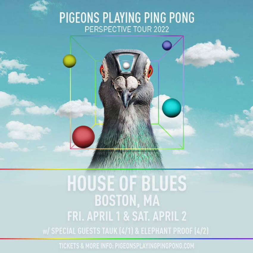 Pigeons Playing Ping Pong