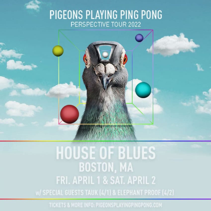 Pigeons Playing Ping Pong