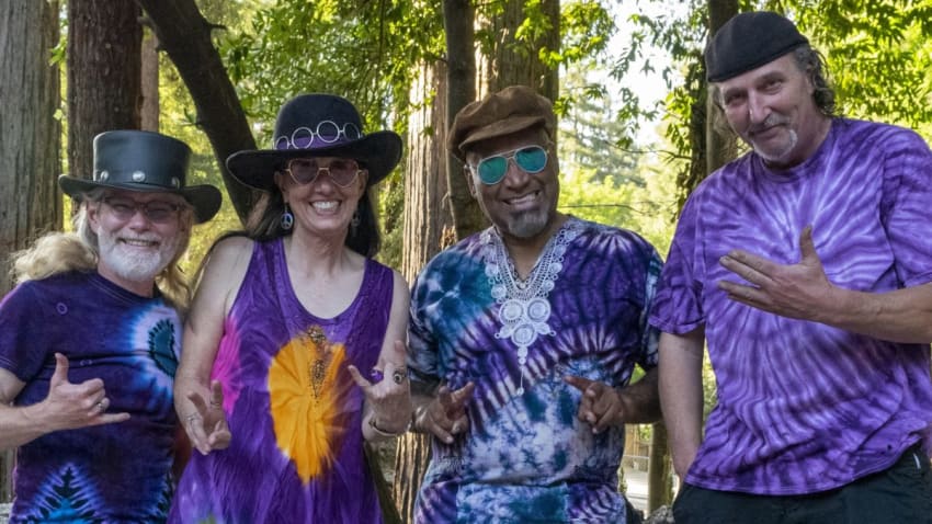 The Groovy Judy Band