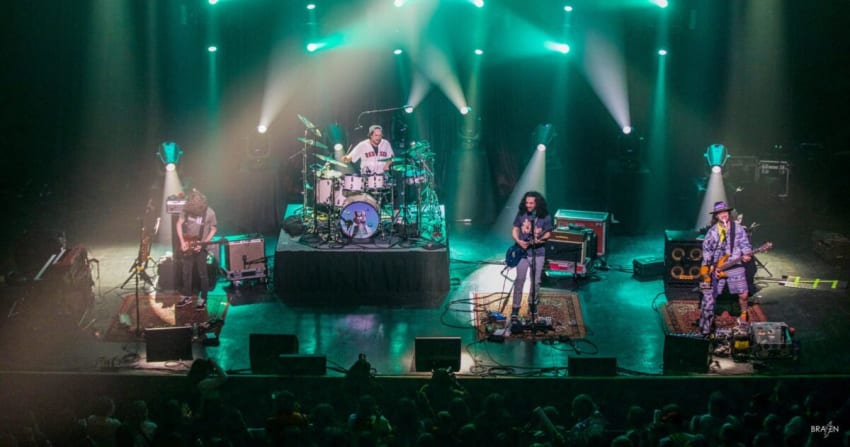 Pigeons Playing Ping Pong HOB Boston