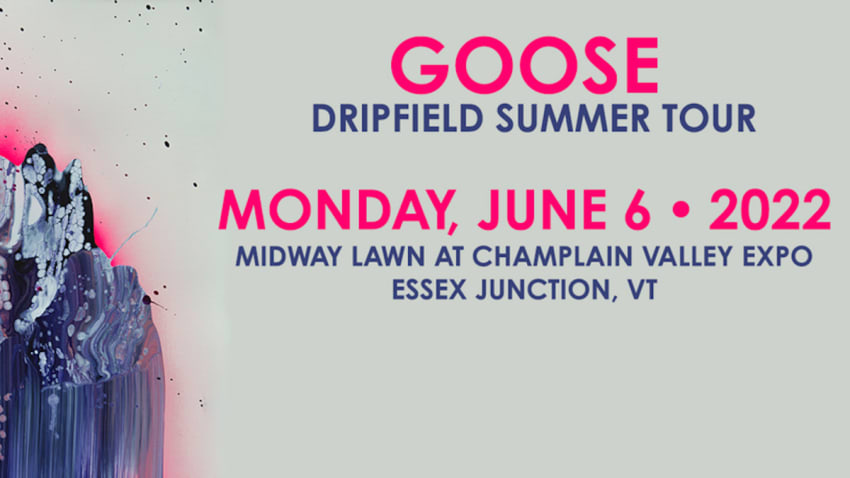 Goose