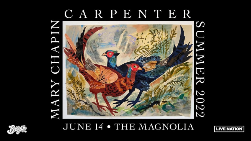 Mary Chapin Carpenter