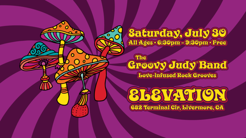 The Groovy Judy Band