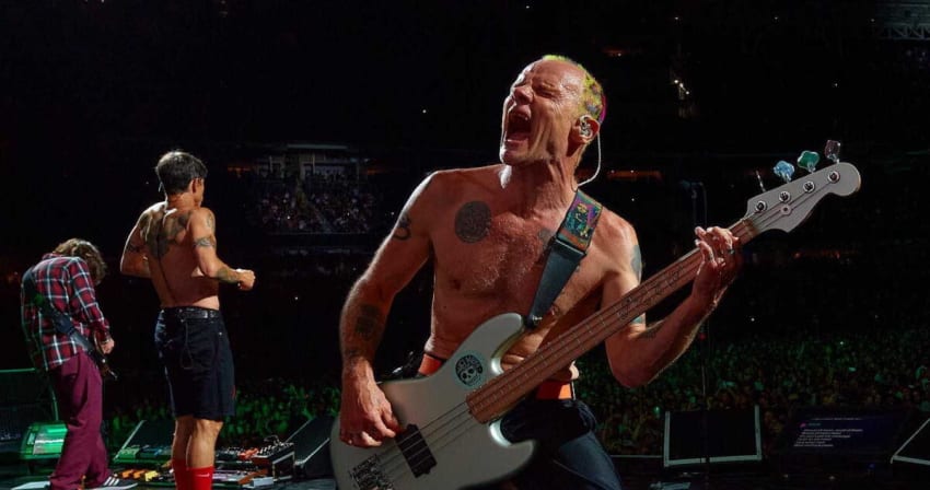 Flea Red Hot Chili Peppers Live 2022