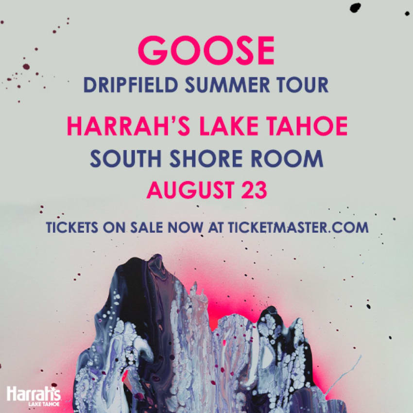 Goose