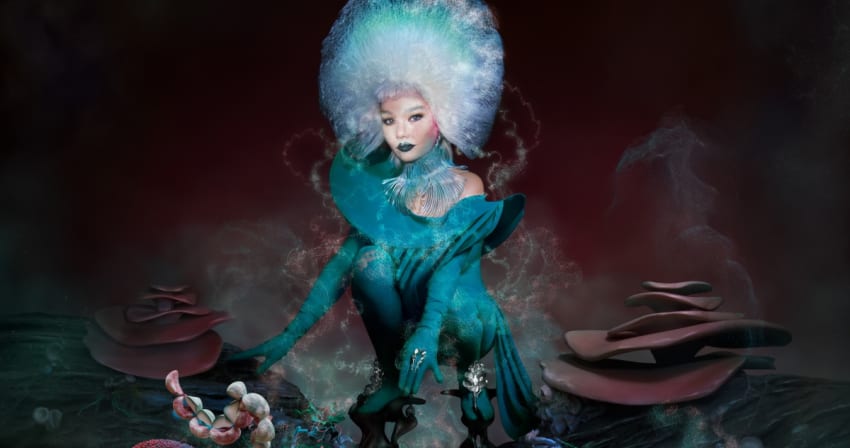 Bjork Fossora