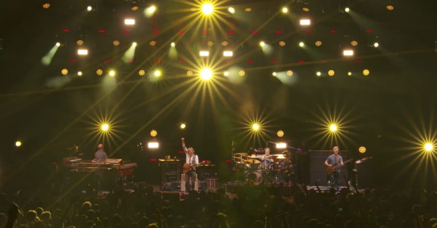 Phish Bug
