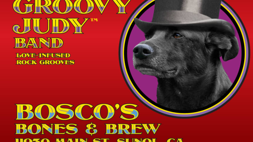 The Groovy Judy Band