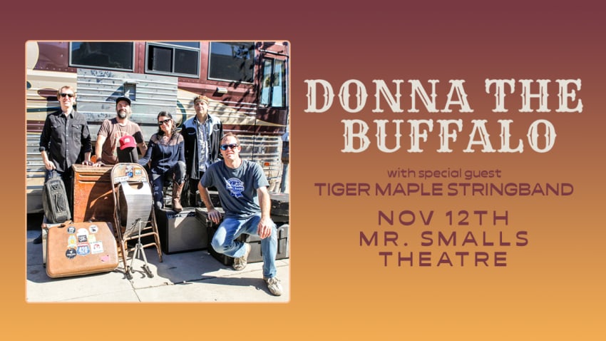 Donna the Buffalo