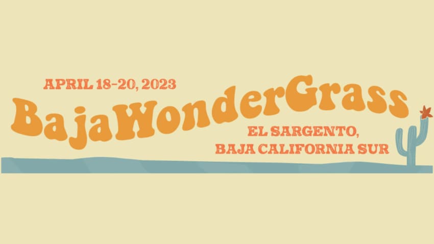 BajaWonderGrass