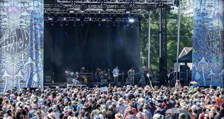 Dogs In A Pile Live July 2022 Adelberg