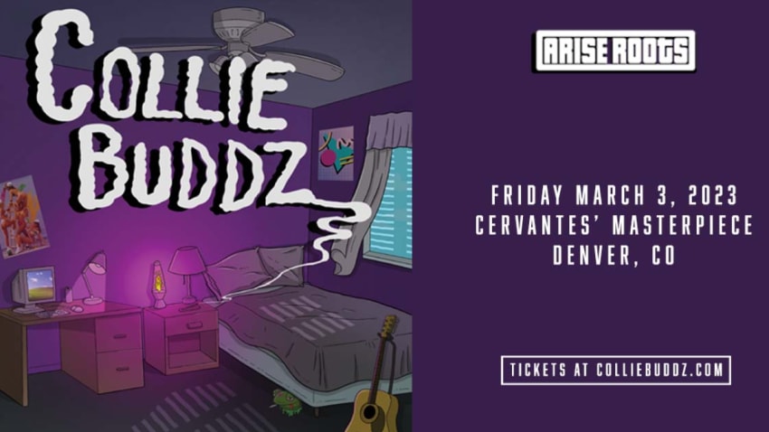 Collie Buddz