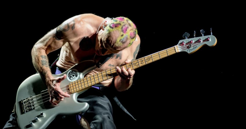 Red Hot Chili Peppers Flea 2022 Rose 001