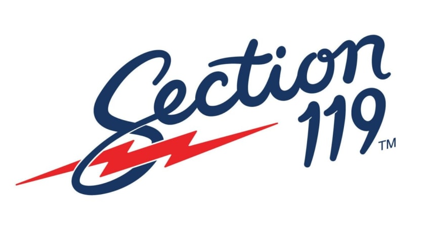 Section 119 logo 2022