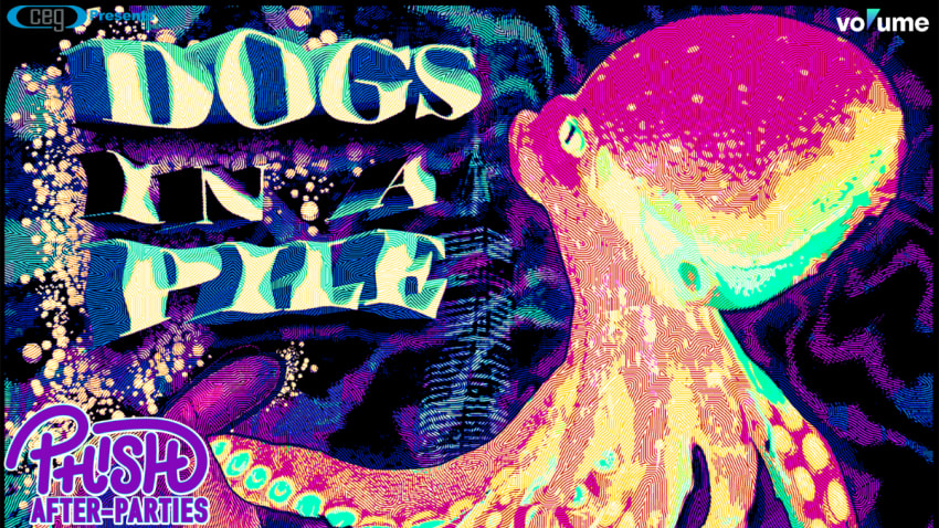 DOGSINAPILE_JAMBASE
