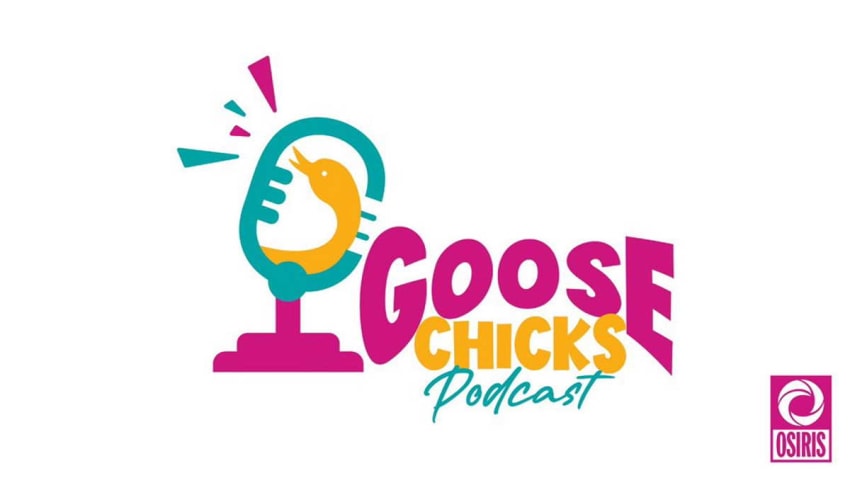 Goose Chicks Podcast