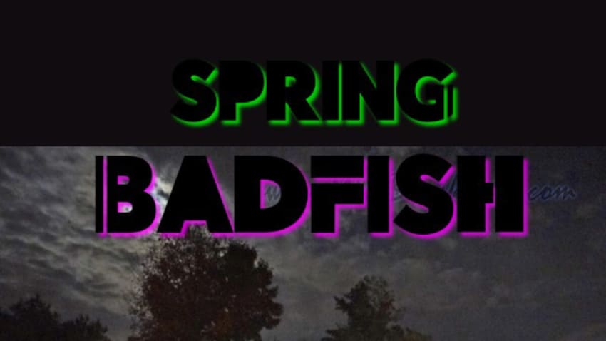 Spring Badfish