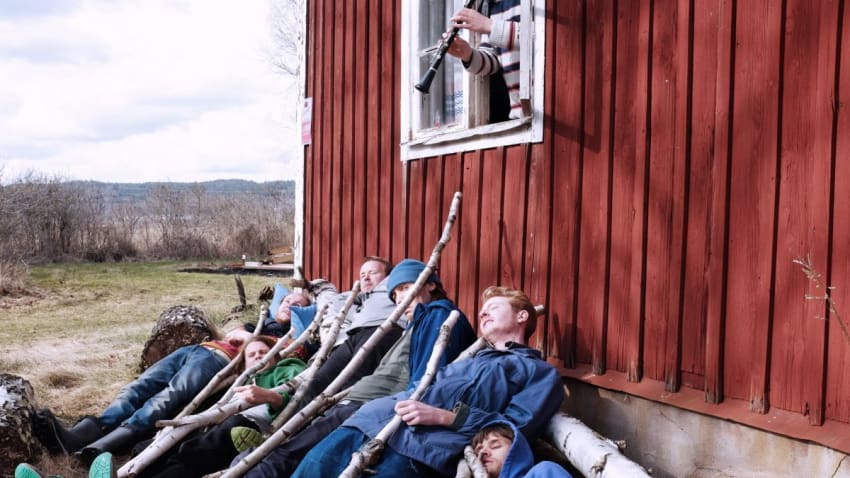 Den Svenska Björnstammen