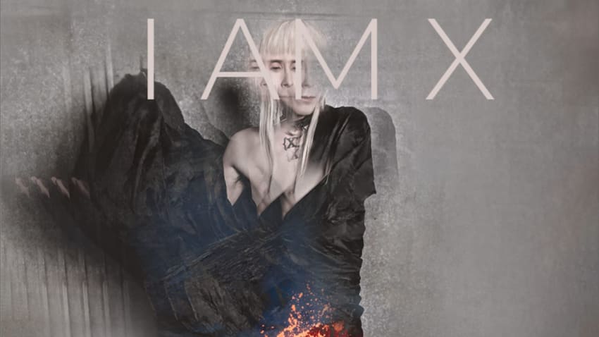 IAMX