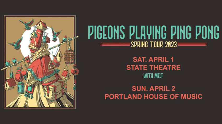 Pigeons Playing Ping Pong