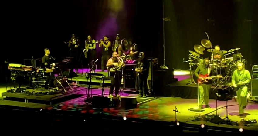 Disco Biscuits Snacktime Anthem