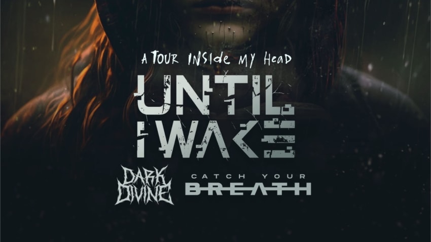 Until I Wake