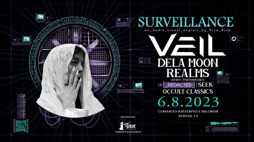 Veil