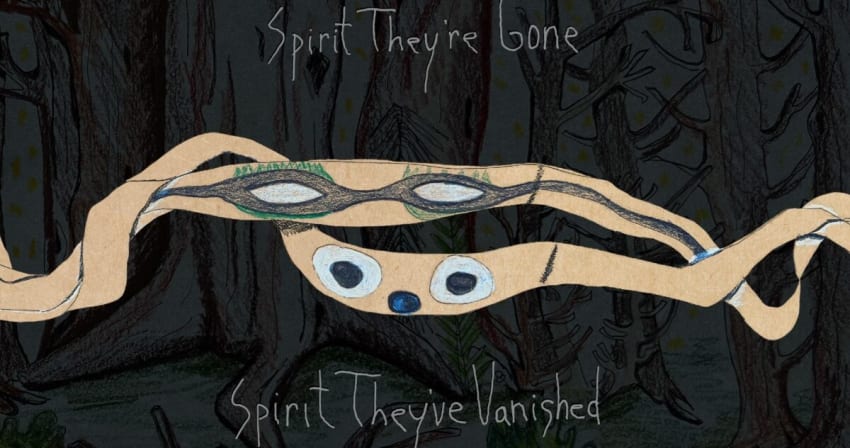 Animal Collective Spirit They've Gone Spirit They Vanished reissue