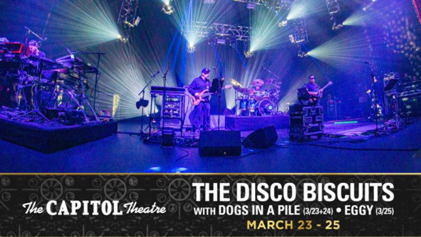 The Disco Biscuits