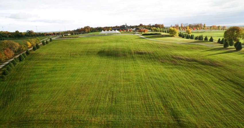 Woodstock Field Catbird Music Festival