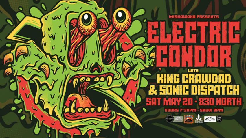 Electric Condor