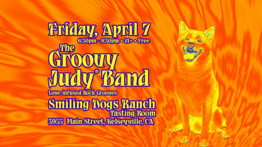 The Groovy Judy Band