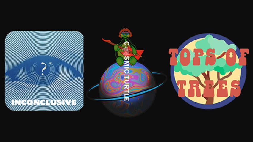 Cosmic Turtle